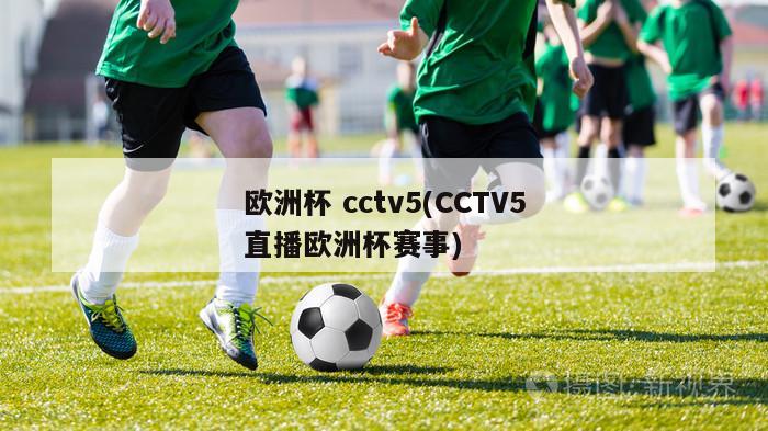 欧洲杯 cctv5(CCTV5直播欧洲杯赛事)