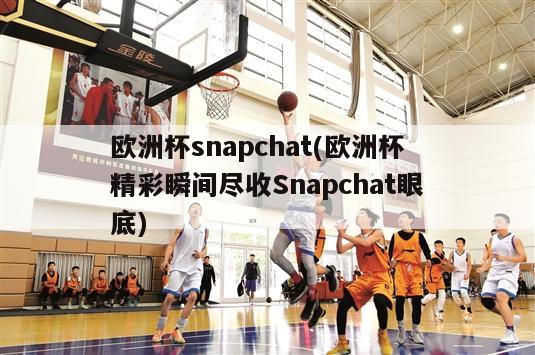 欧洲杯snapchat(欧洲杯精彩瞬间尽收Snapchat眼底)