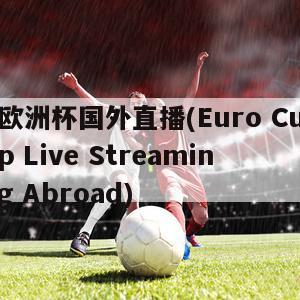 欧洲杯国外直播(Euro Cup Live Streaming Abroad)